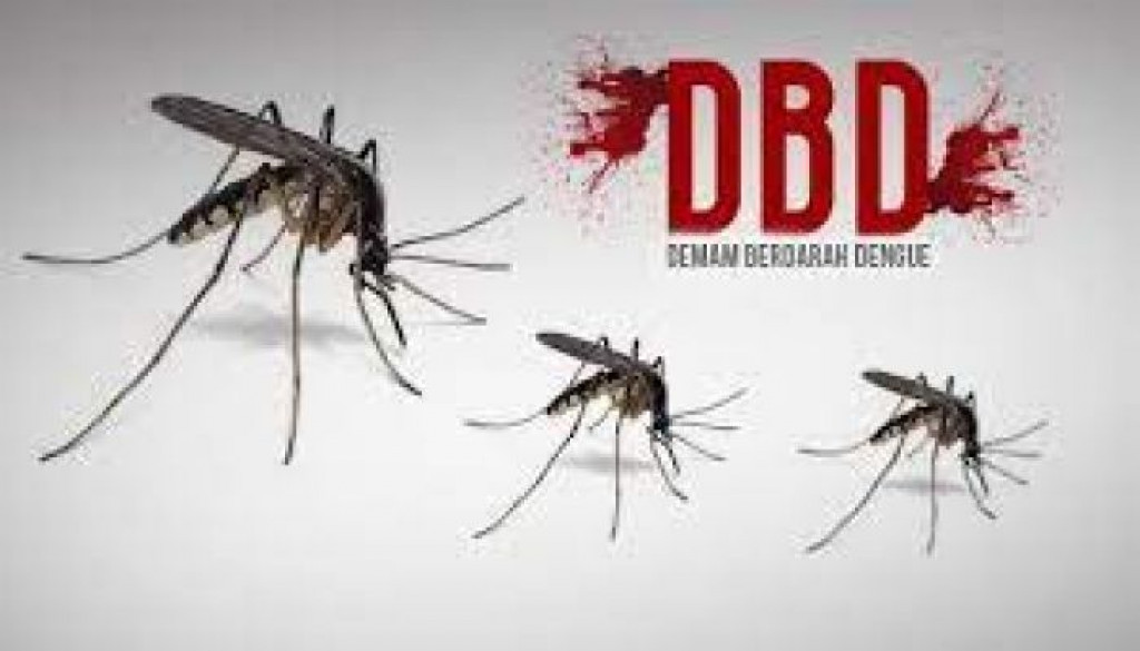 AWAS, Perubahan Musim! Saatnya Siaga Demam Berdarah Dengue (DBD)